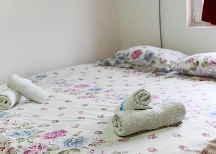 Daire Tri Bagrema Km Mokra Gora