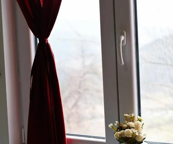 Daire Tri Bagrema Km Mokra Gora