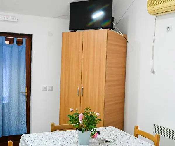 Tri Bagrema Km Daire Mokra Gora