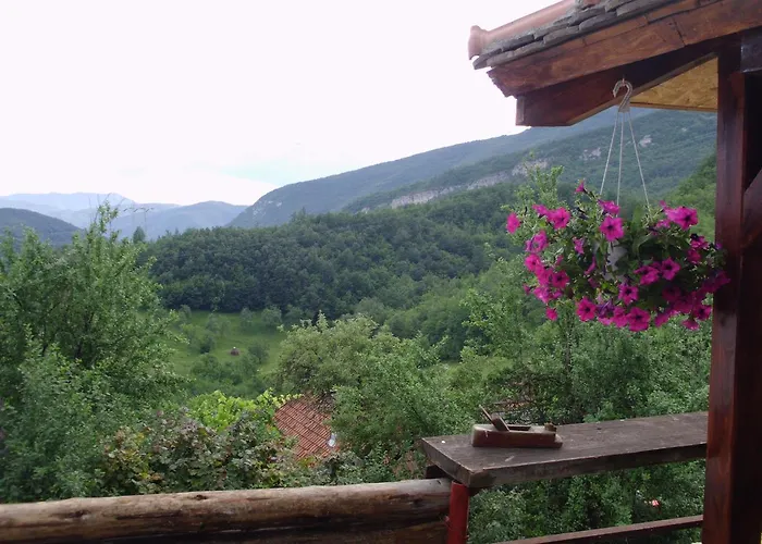 Tri Bagrema Km * Mokra Gora