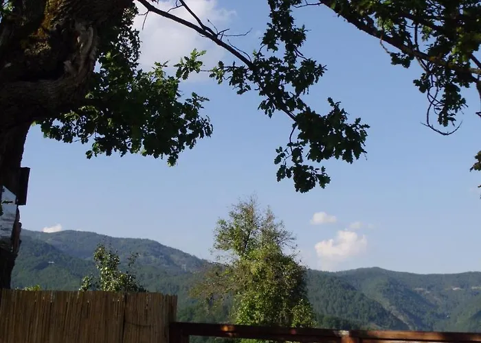 Daire Tri Bagrema Km